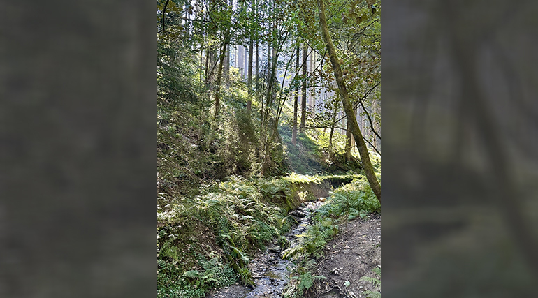 fs-winterberg