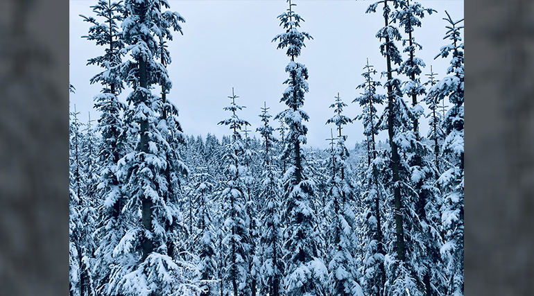 fs-winterberg