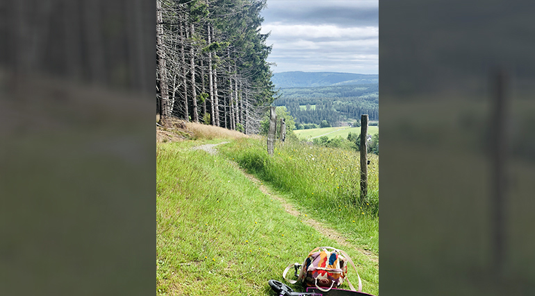 fs-winterberg