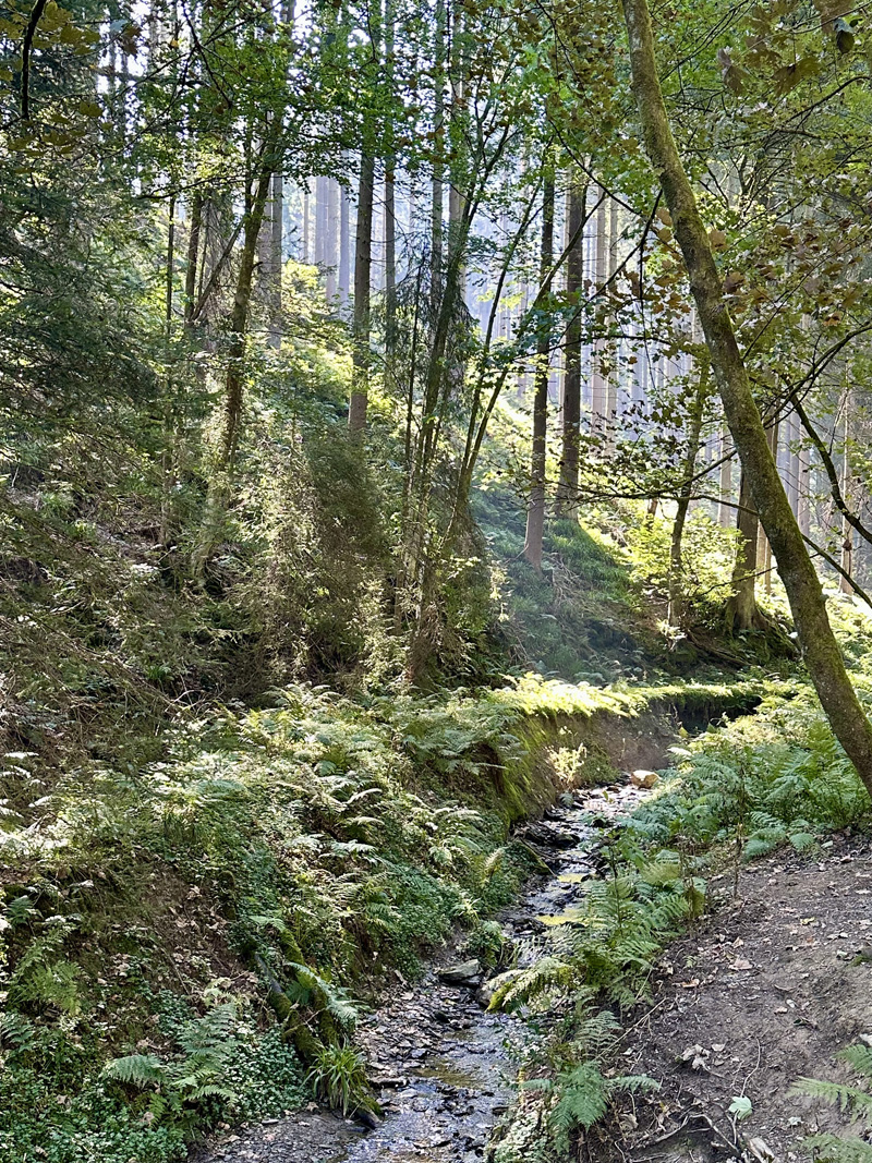 fs-winterberg