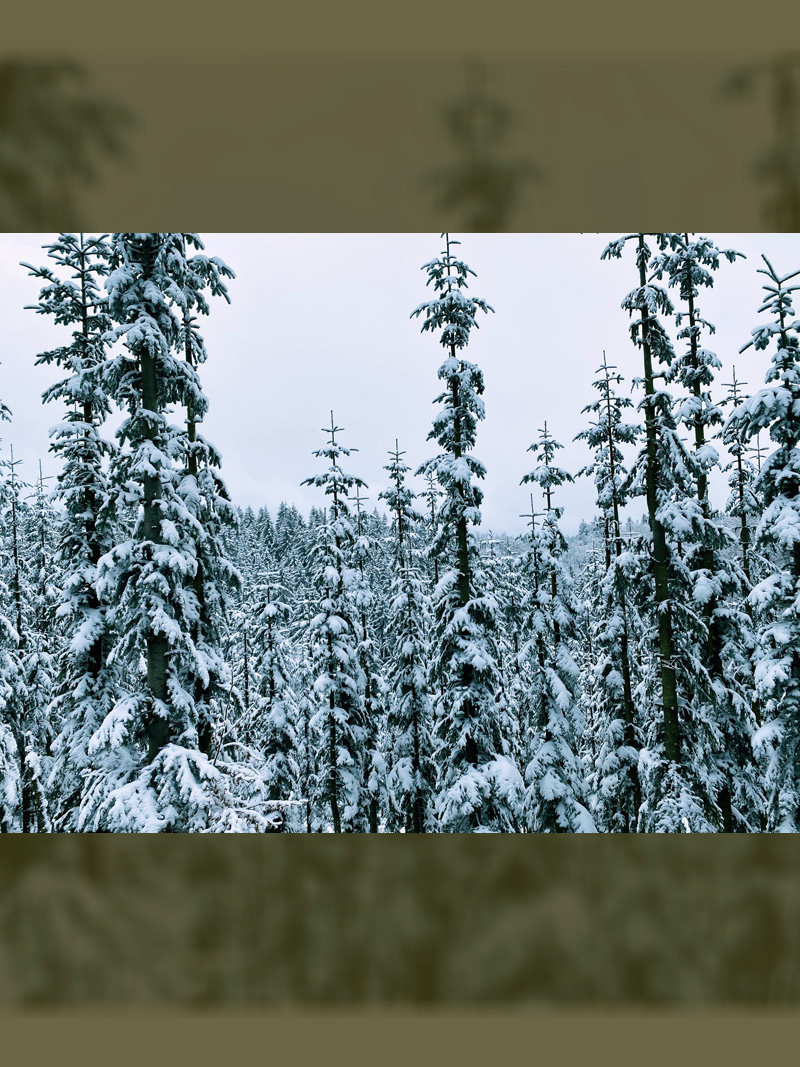 fs-winterberg